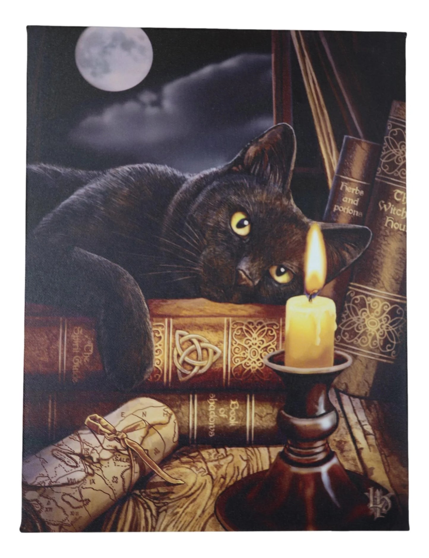 Witching Hour Black Cat by Candle and Spellbooks Wood Framed Canvas Wall Decor