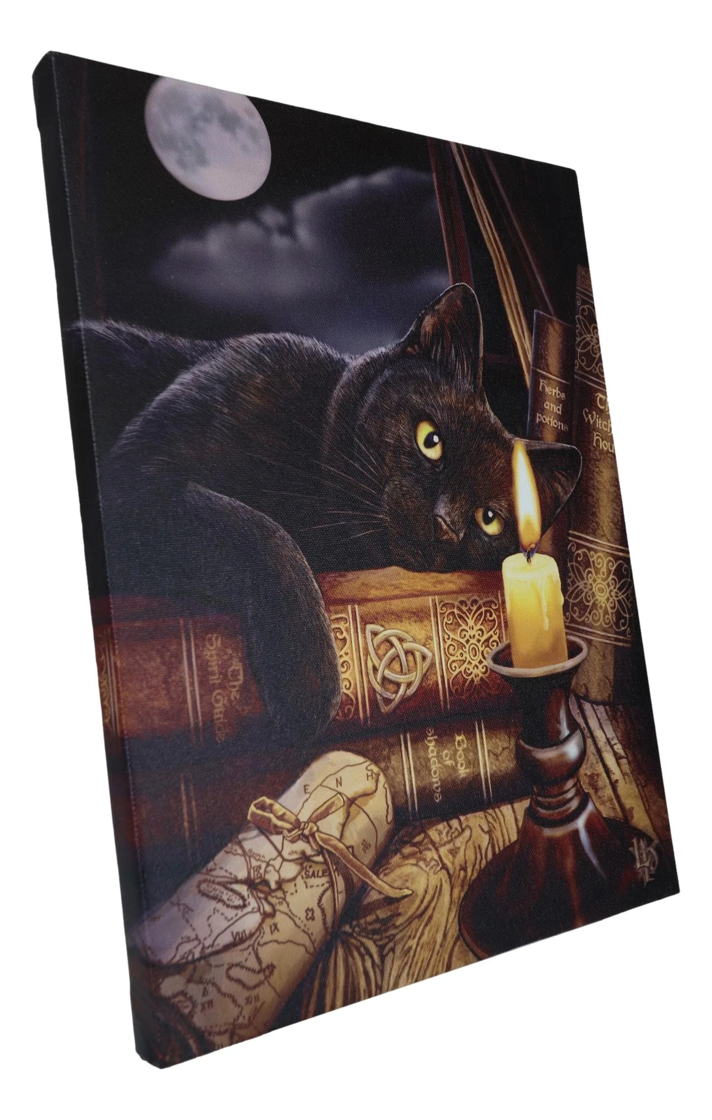 Witching Hour Black Cat by Candle and Spellbooks Wood Framed Canvas Wall Decor